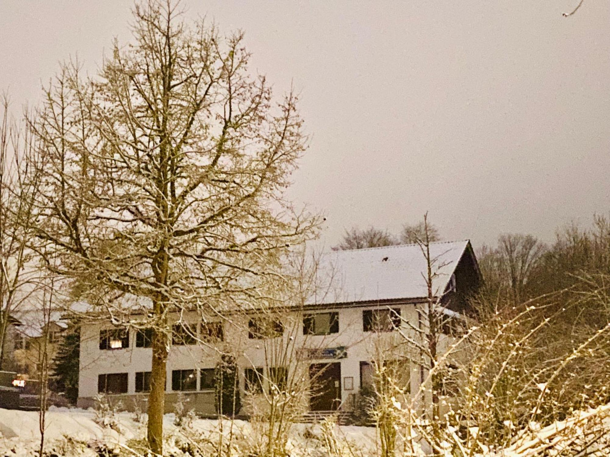 Pension Waldblick Шпигелау Екстериор снимка